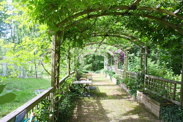 picture of pergola