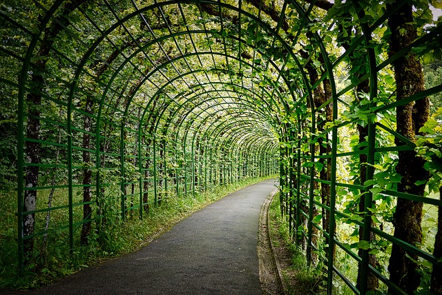 picture of pergola
